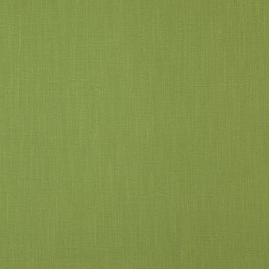 Moss green cotton duck canvas home decor fabric.