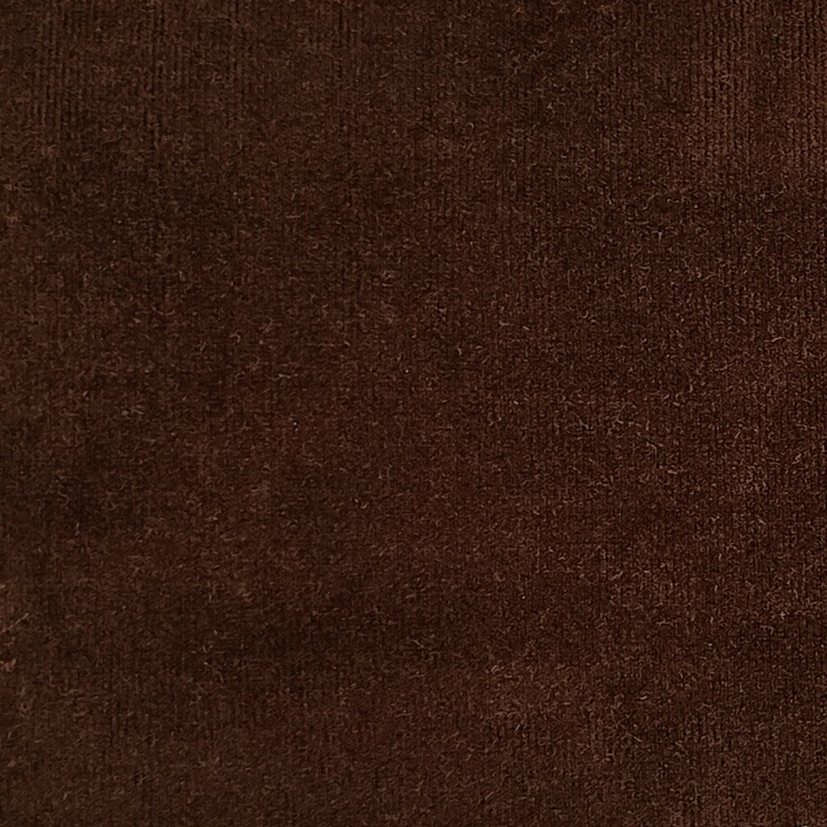  Velvet Fabric Muse Dark Brown.