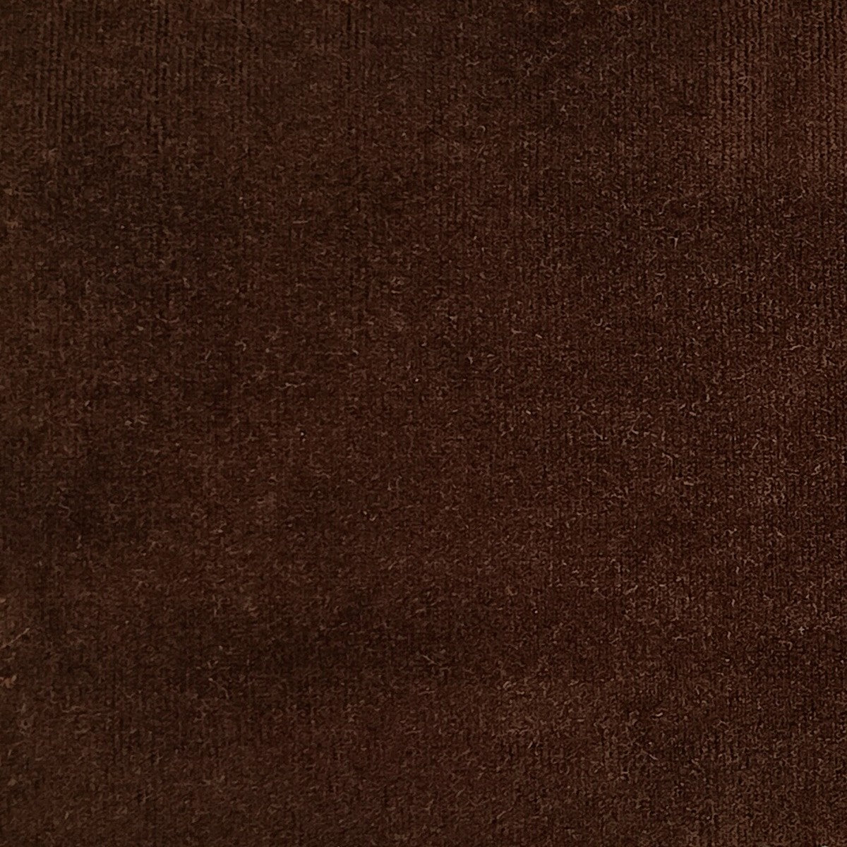 Performance Upholstery Velvet Fabric Muse Dark Brown
