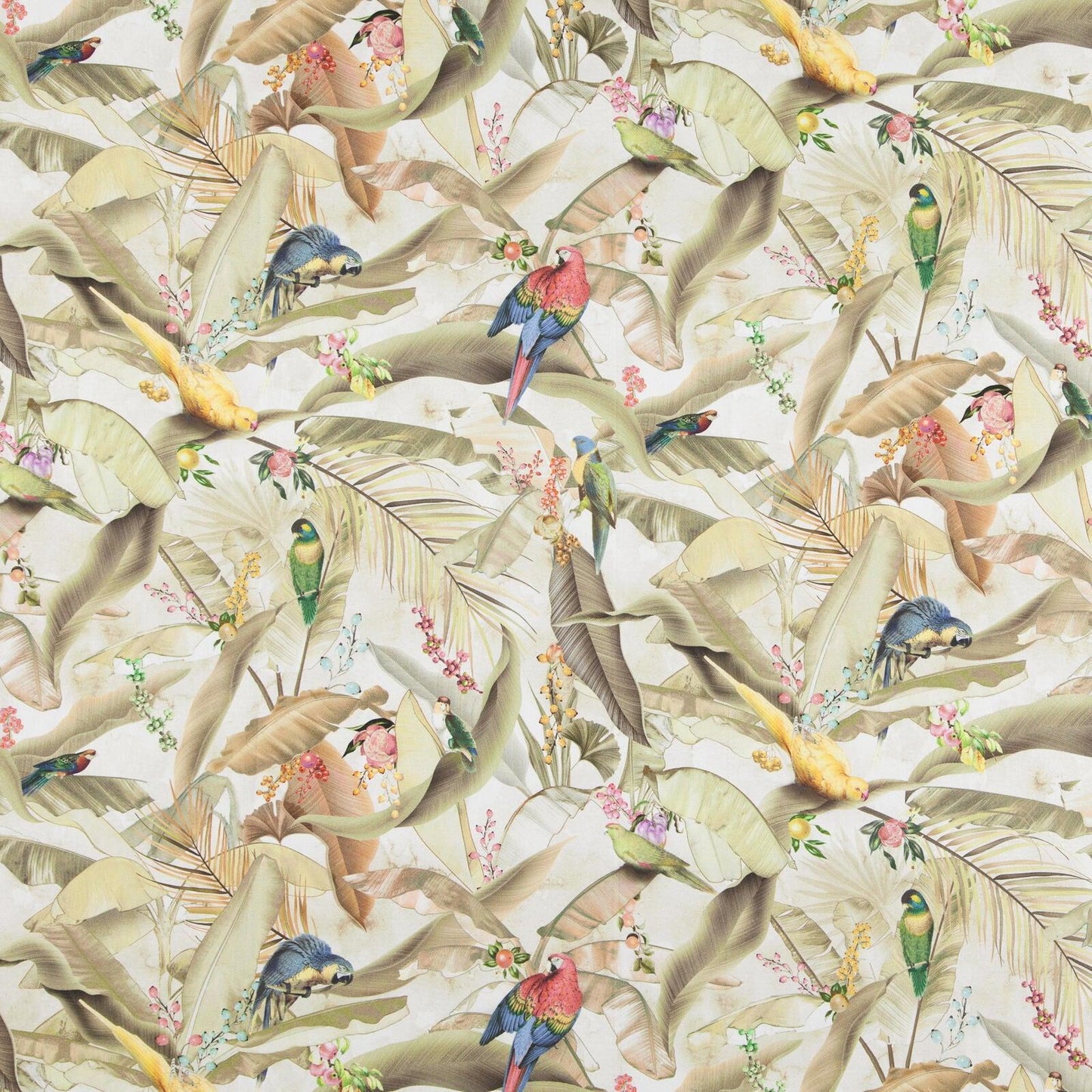 Rare Birds Vanilla fabric- pophomefabric