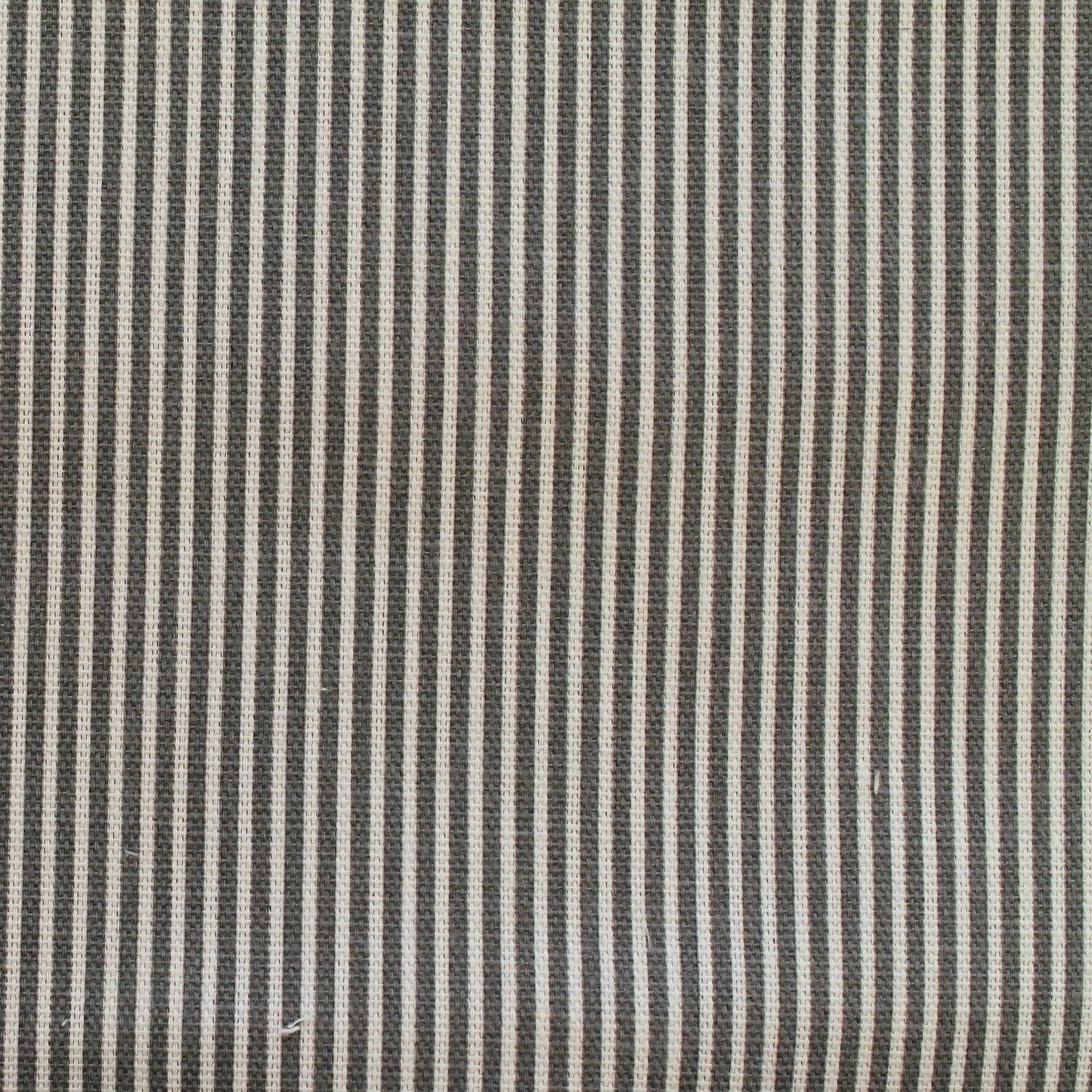 Ticking Fabric Cotton Canvas Duck Honey Dark Grey