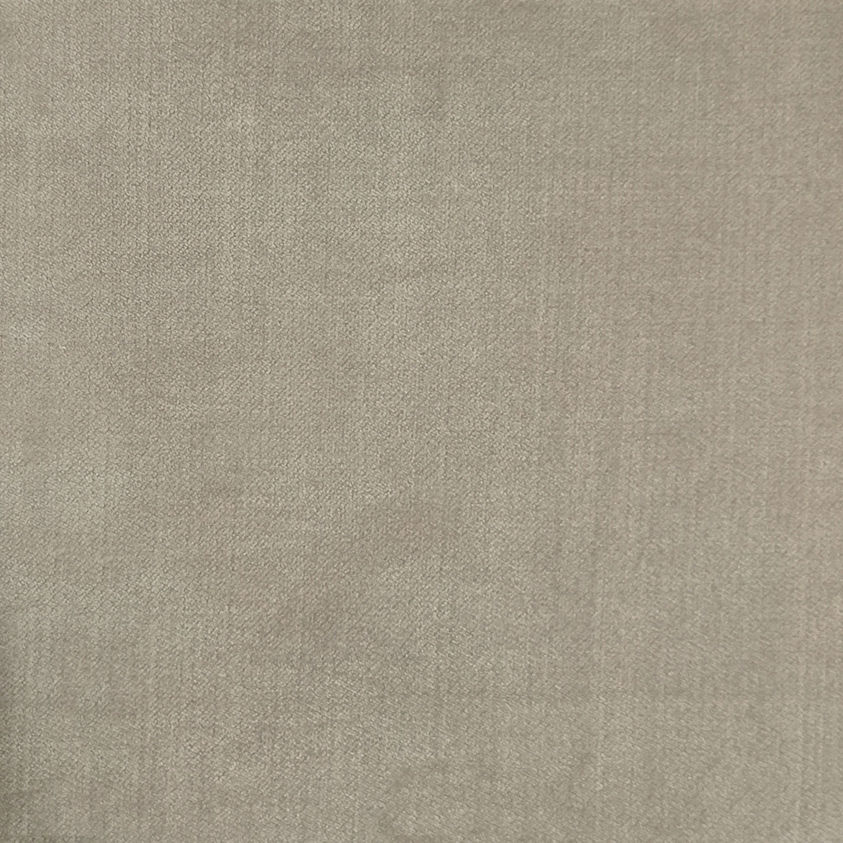  Velvet Upholstery Fabric Erlton Pale Taupe