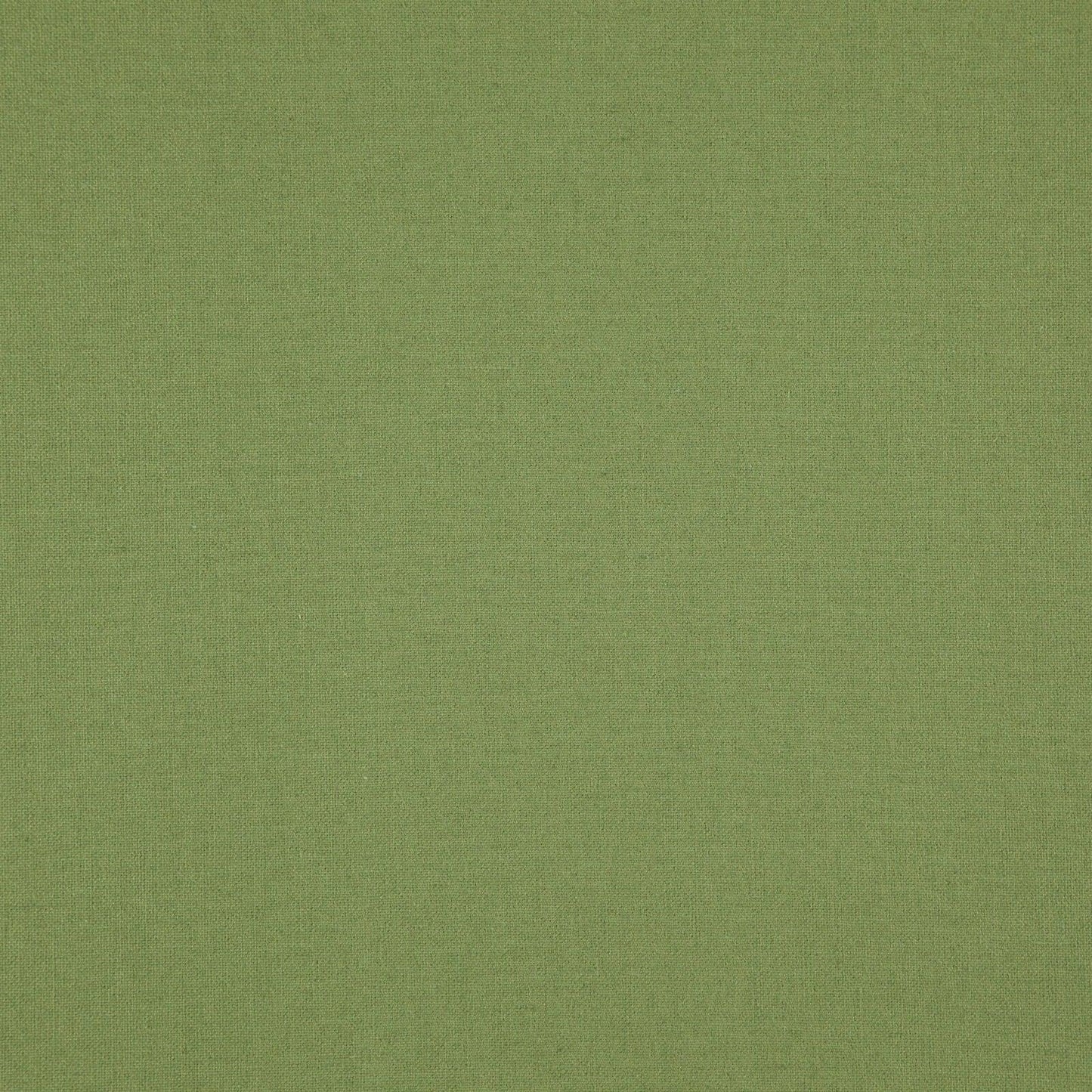 Linen Upholstery Fabric Spark Faded Green