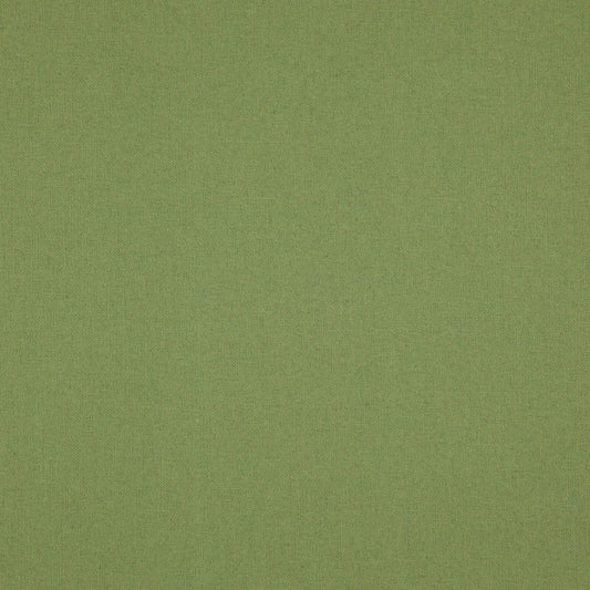 Linen Upholstery Fabric Spark Faded Green